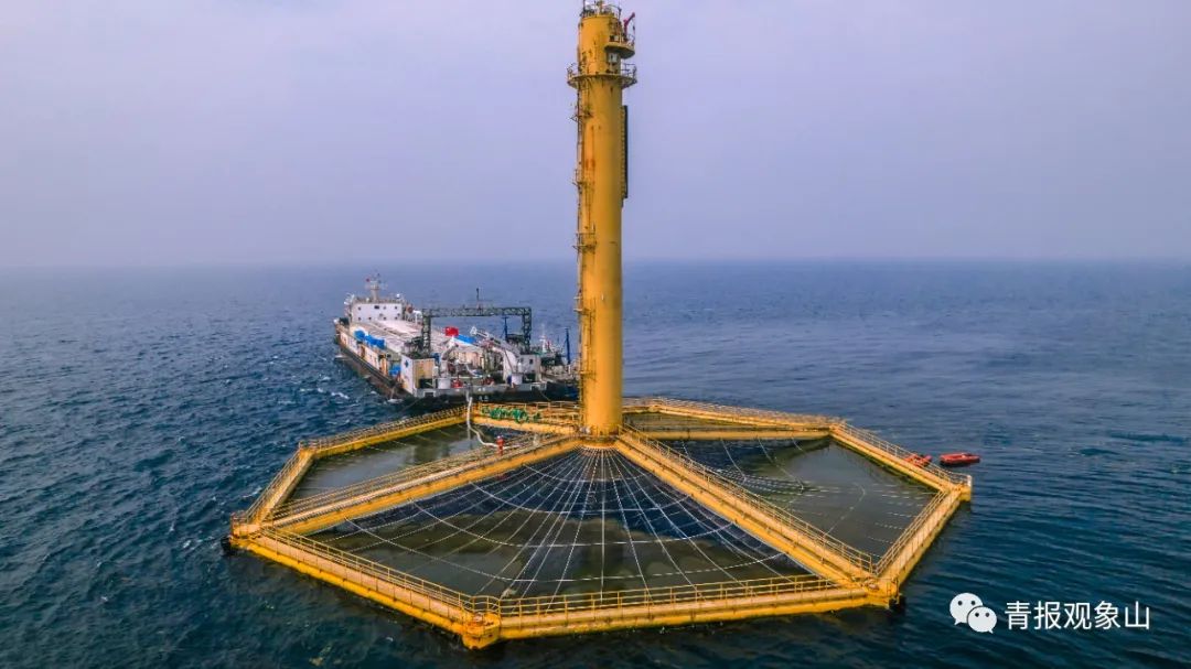 16处晋升“国家级”,九分天下有其一!青岛在海里建了个“大粮仓”