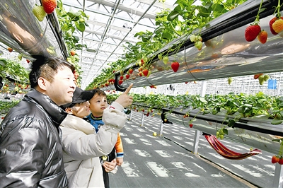 百余项特色节会活动等你来！就地过年，青岛旅游送上“大餐”