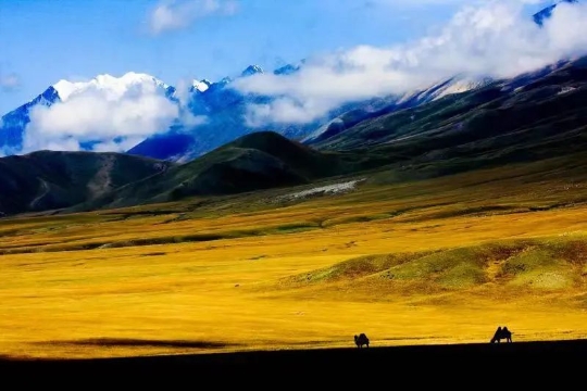 ca289d9689434f9cbc25f3194dc4c207_640_wx_fmt=jpeg&wxfrom=5&wx_lazy=1&wx_co=1.jpg