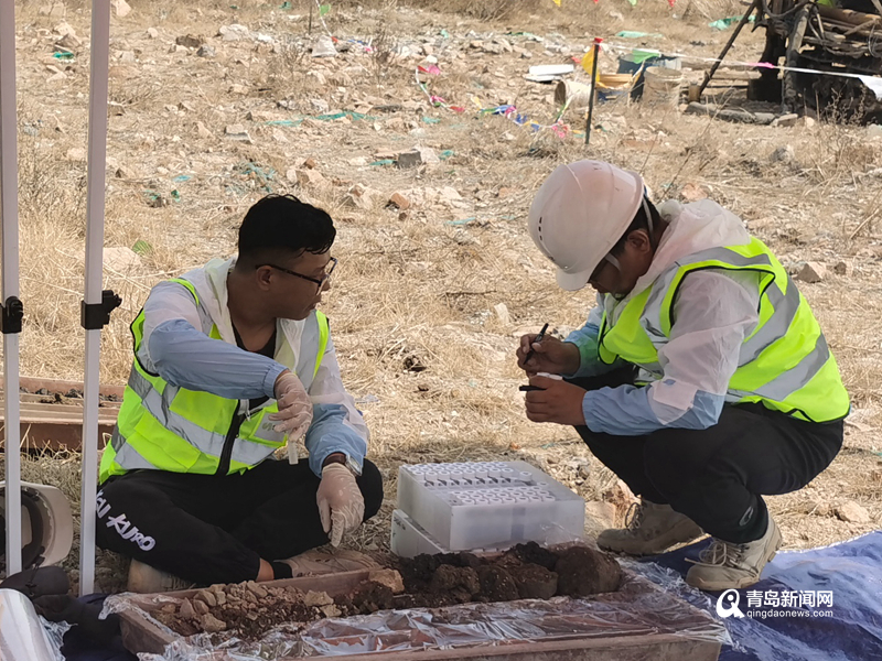 土壤耕地质量评价检测场地调查机构