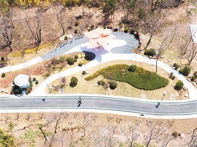 太平山中央公园浮山森林公园基本建成正式对市民开放