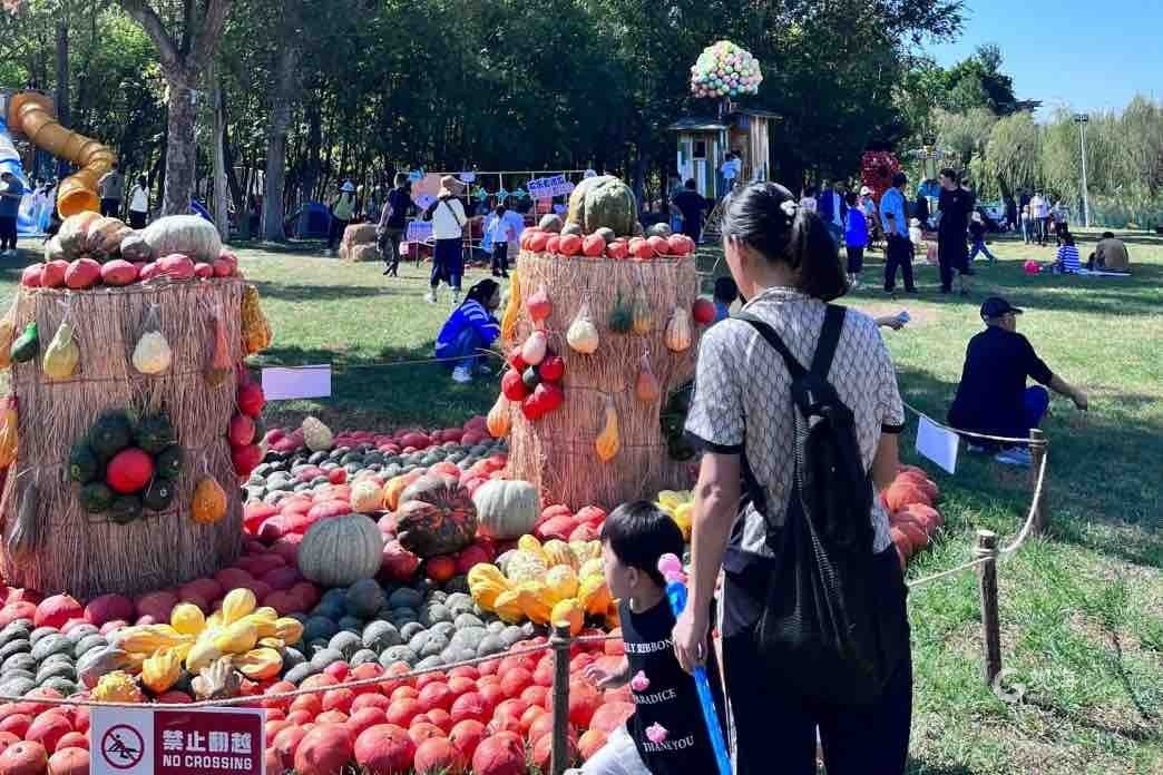 中秋国庆城阳旅游人气旺，夜间休闲成青岛亮点登上央视