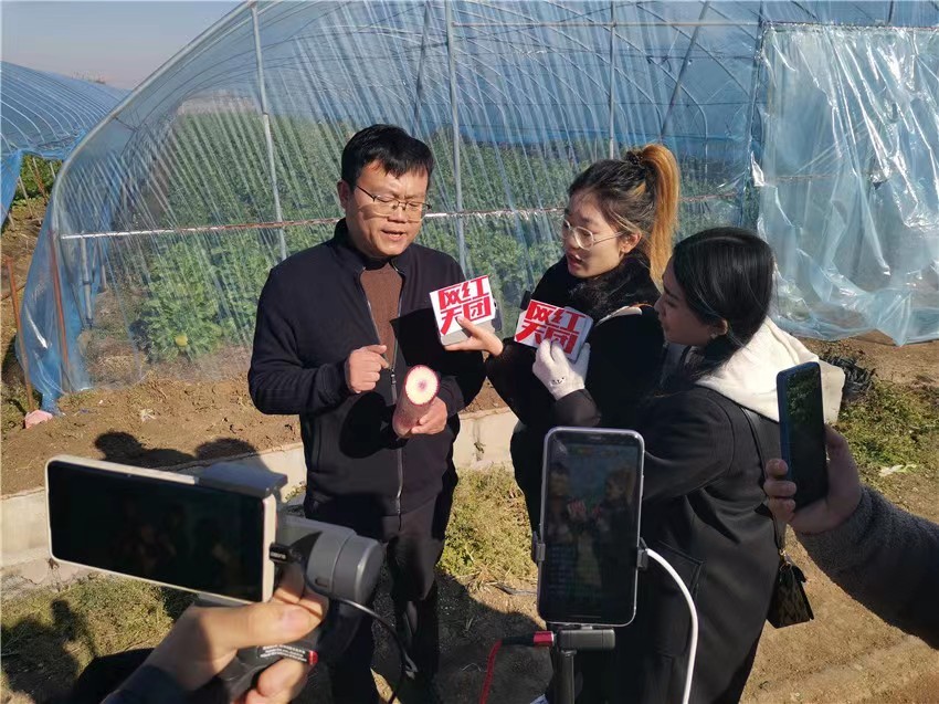 95后小伙返乡直播助农一部手机“带飞”全村