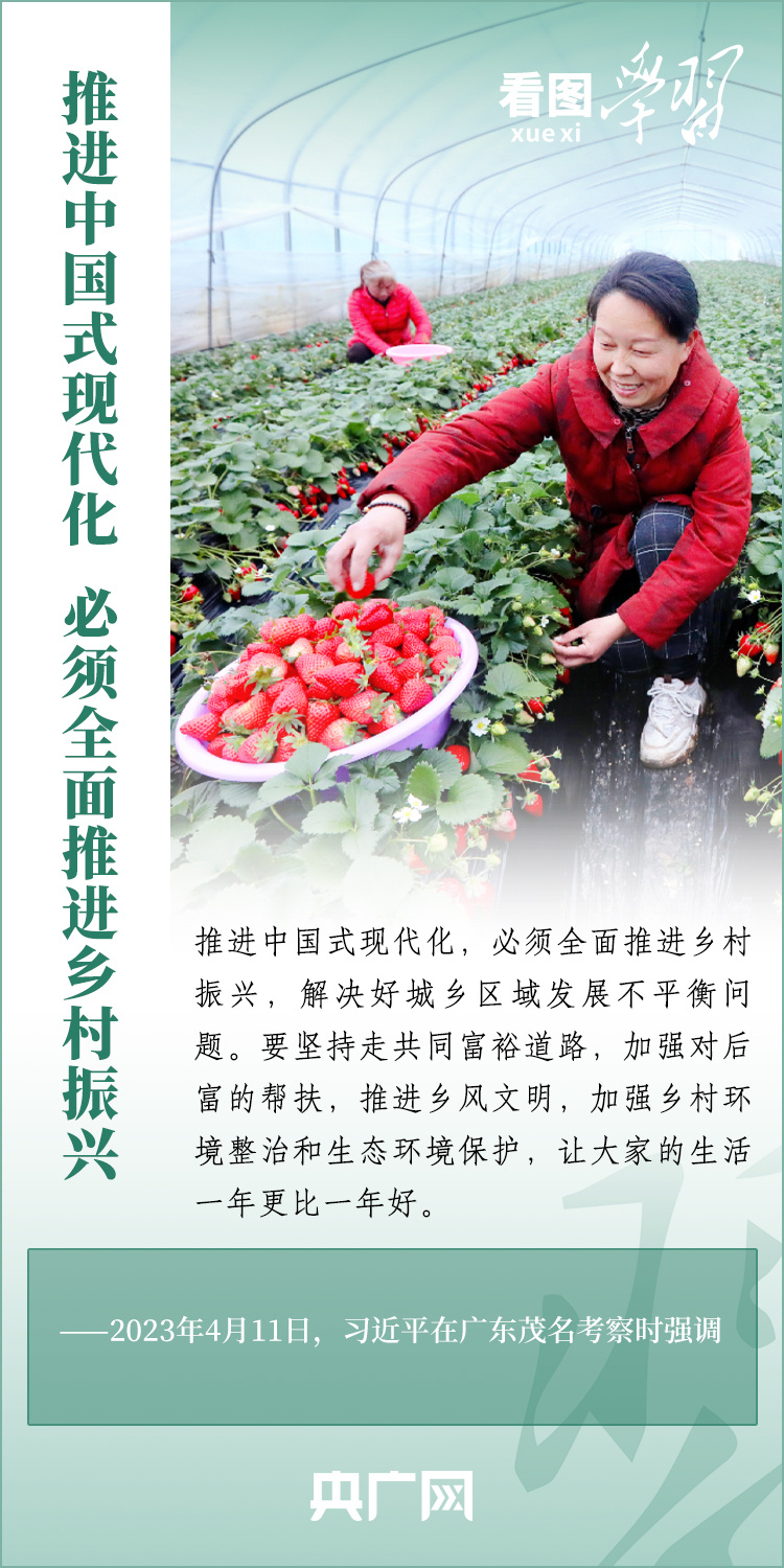 看图学习丨推进中国式现代化，必须全面推进乡村振兴 - 青岛新闻网