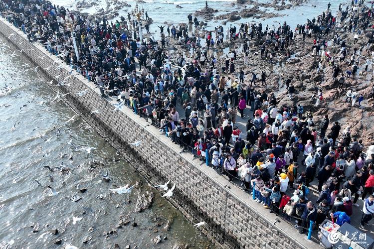 “年经济”效应凸显！青岛上榜春节十大北方热门旅游目的地