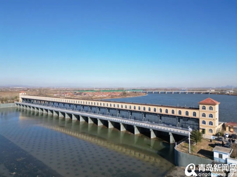西海岸市政管理