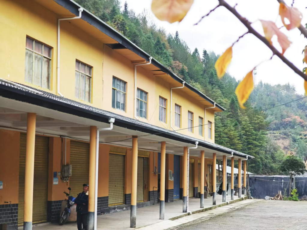 周溪乡易地搬迁集中安置点之一。第1眼TV-华龙网汤莉摄