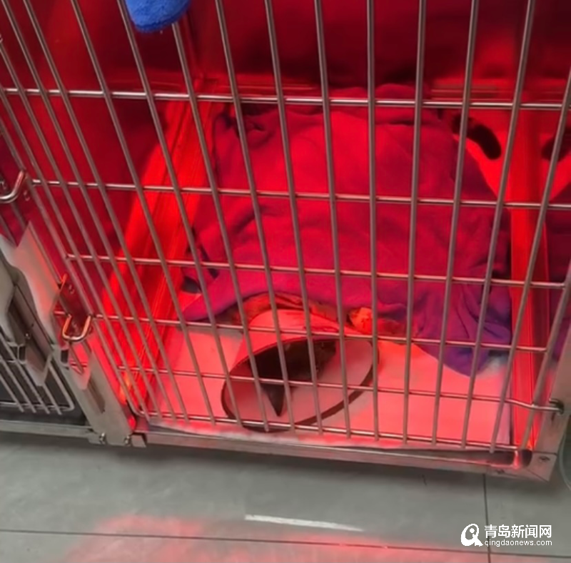 bbee9eb80d67f9b85f0ed8abd982658.png bbee9eb80d67f9b85f0ed8abd982658.png