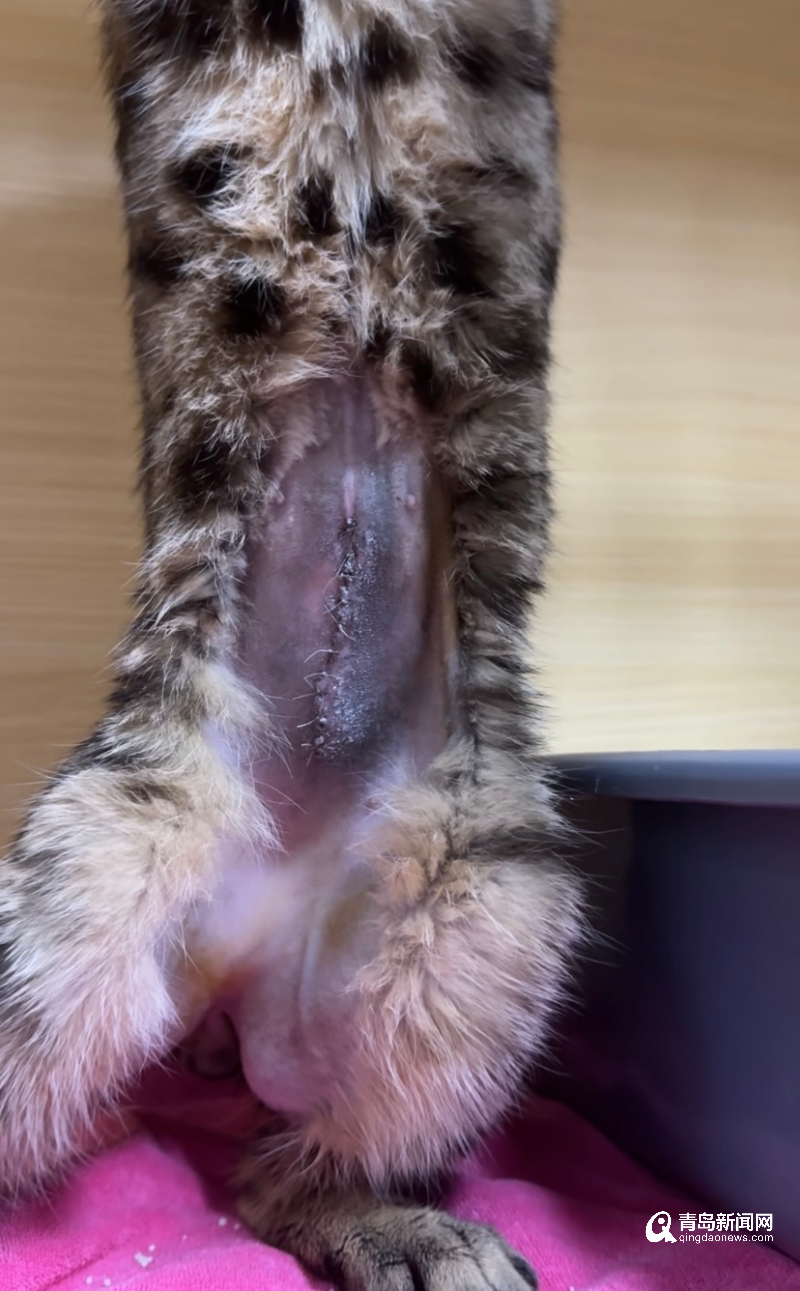 99f405c74761895f271e6f5b1e1b00b.png 99f405c74761895f271e6f5b1e1b00b.png