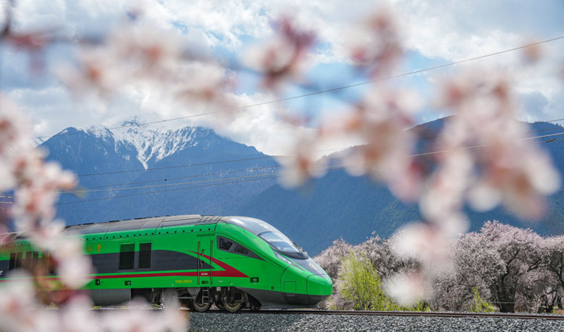 2025年4月2日,复兴号列车穿行在拉林铁路林芝段。