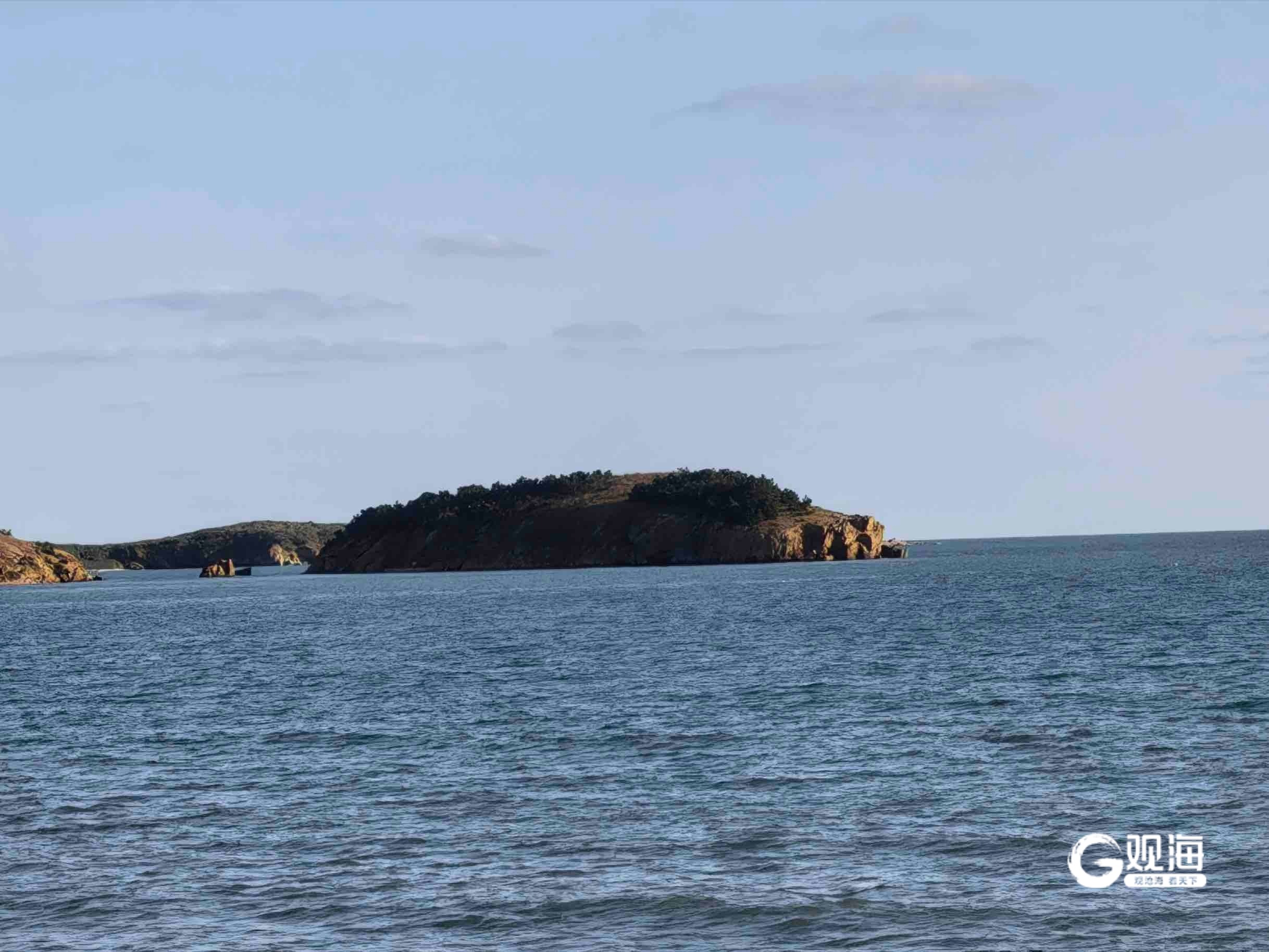 “会打呼噜”的猪岛藏不住了!雷军微博带火猪岛,青岛120座海岛也强势出圈