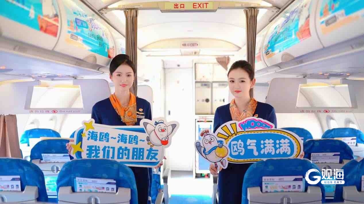 五大场景全域联动！从云端到海岸，青岛邀您开启鸥遇之旅