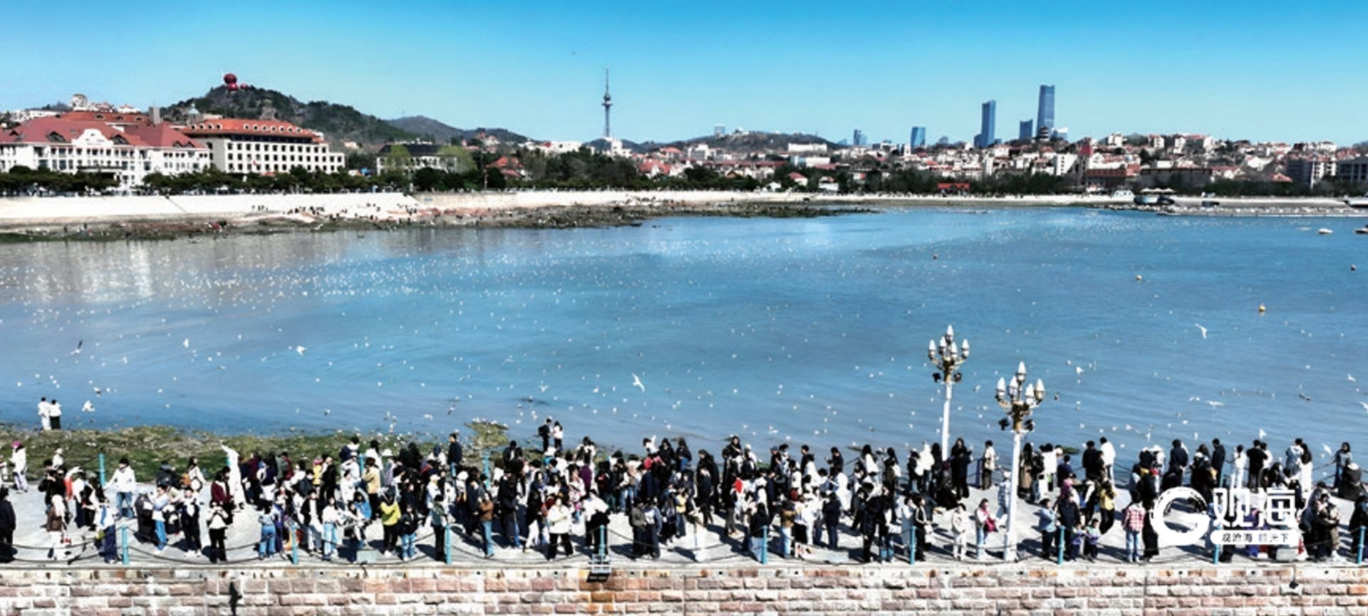 在全省文旅盛会上，青岛大项目、新场景诚邀“合伙人”共绘“山海诗意”