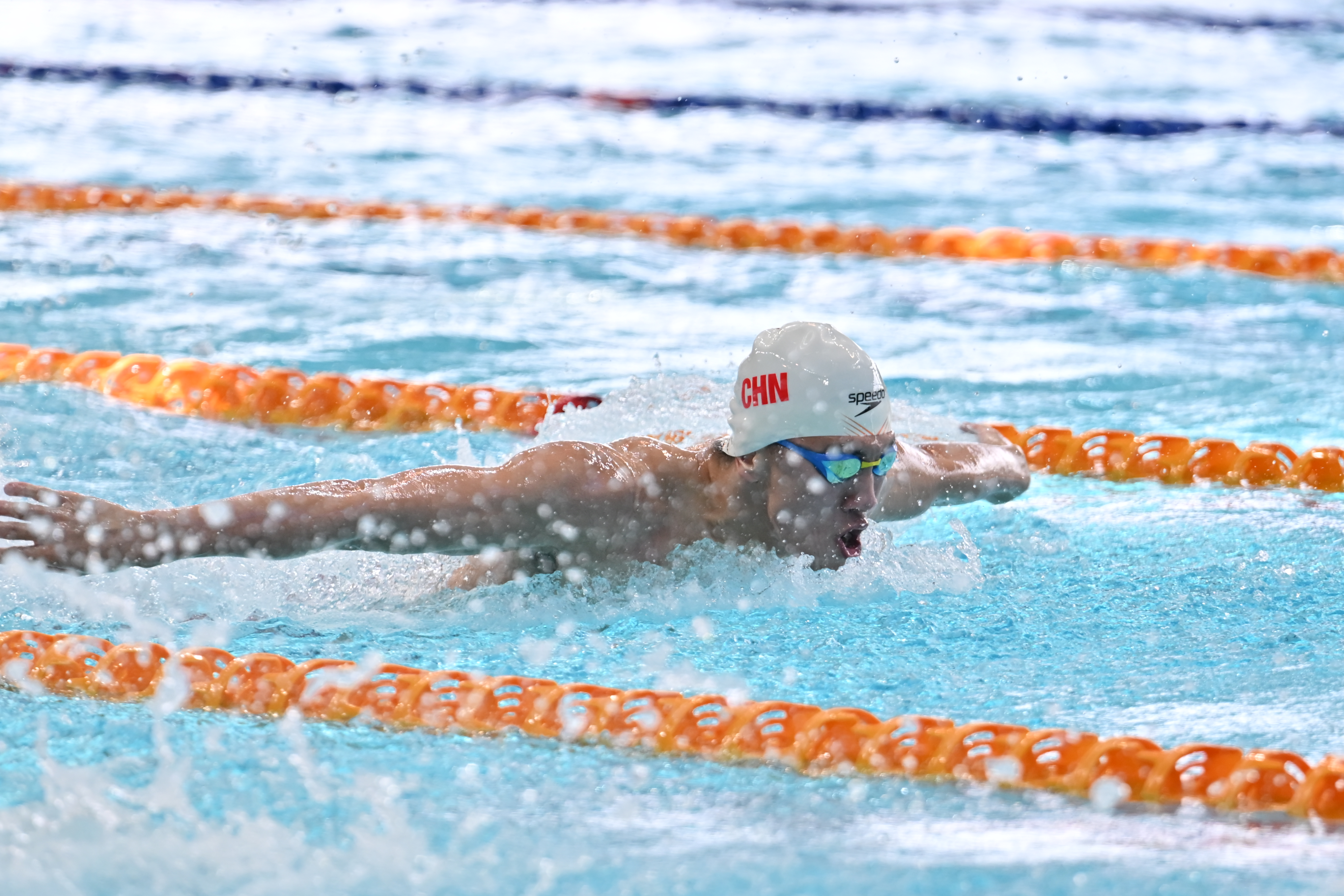 SJF_2061__84113865.jpg