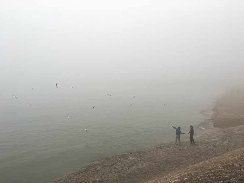青岛市发布大雾橙色预警 局部能见度不足50米