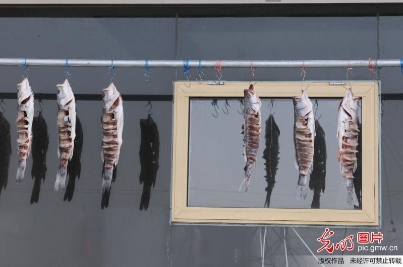 青岛渔民忙制腌鱼 200斤鱼干王亮相