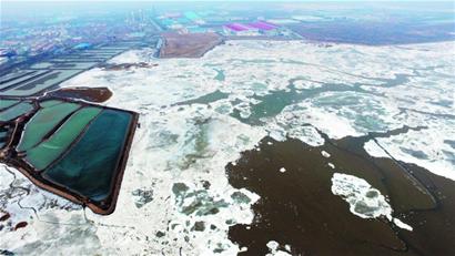 胶州湾现冰河世纪 海冰面积如840个足球场