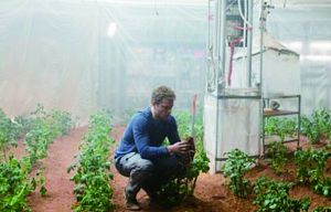 电影《火星救援》中，宇航员马克滞留火星，靠种土豆作为食物补给，才坚持等到救援。在火星上种土豆真的靠谱儿吗？根据美国航天局（NASA）的最新消息，这事儿有可能！目前，NASA正在地球试种适合在火星生长的土豆。