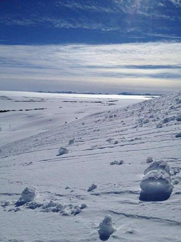 美国现罕见“雪卷”奇景 外形精致如棉花糖