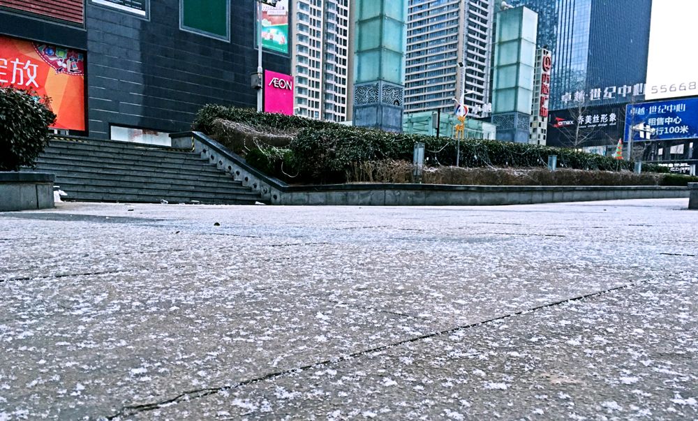 高清：青岛今晨现罕见春雪 纷纷扬扬惊艳岛城
