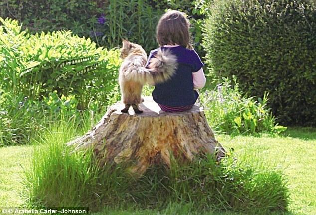 暖心！英国6岁自闭症女孩与猫咪形影不离
