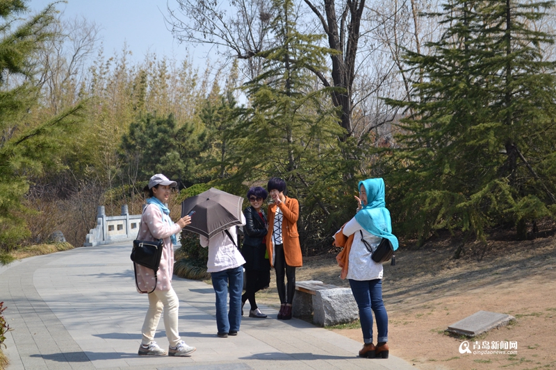 【春游季】国学公园春色渐浓 烟柳画桥如临江南
