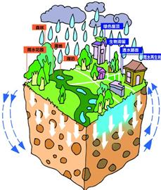 海绵城市规划5月底前完成 75%雨水将就地利用