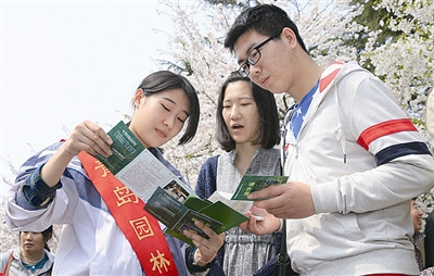 中山公园周末27万人赏樱 东园花海盛景分外迷人