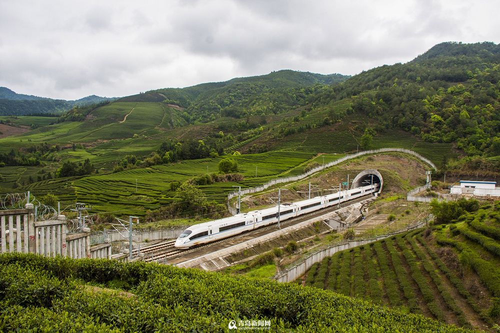 号称最美高铁线路 青岛至厦门北沿途实拍