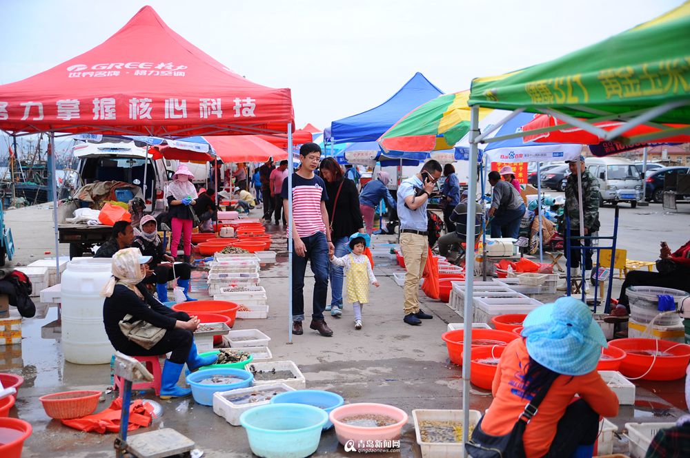 积米崖渔港海鲜飘香 这么多海货你最爱哪一种