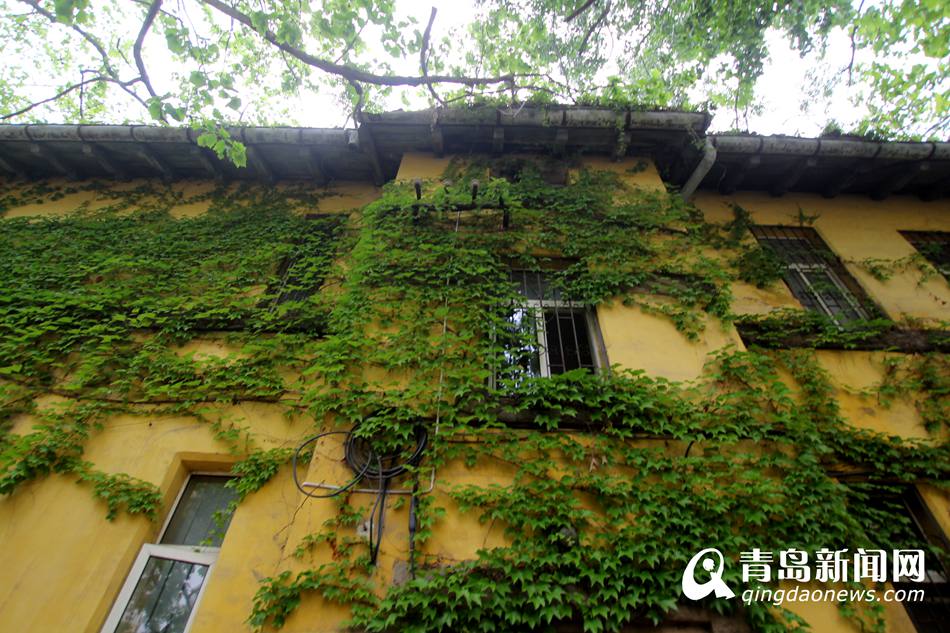 绿藤缠绕化身古堡 老城绿房子成街头一景