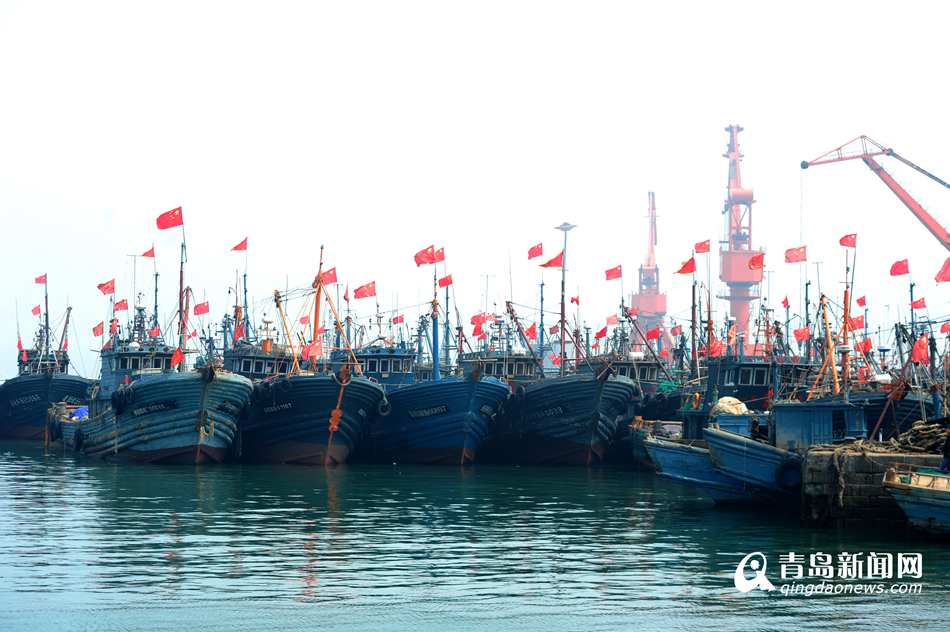 高清:青岛明起伏季休渔 市民渔码头抢购小海鲜