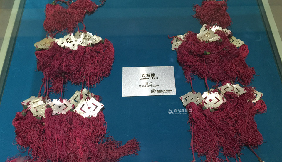 青岛有个贝壳博物馆 珍贵藏品全球罕见