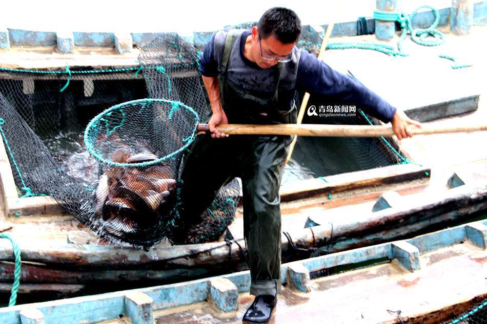 高清:青岛5700艘渔船回港休渔