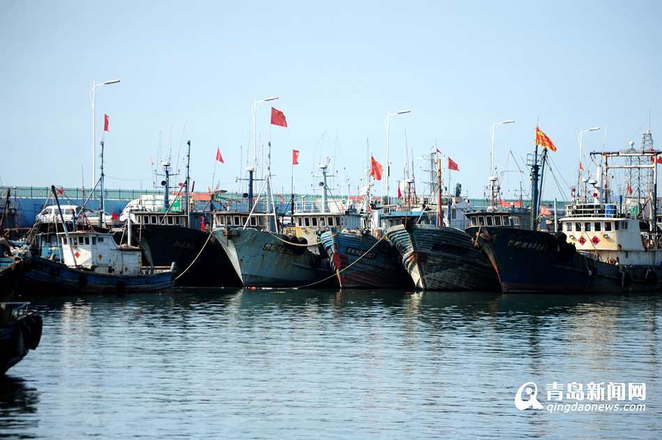 最后一船鲜靠岸 青岛5700艘渔船入港休渔