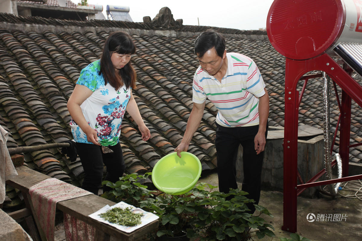 陕西女子带前夫改嫁 与现任丈夫同组家庭