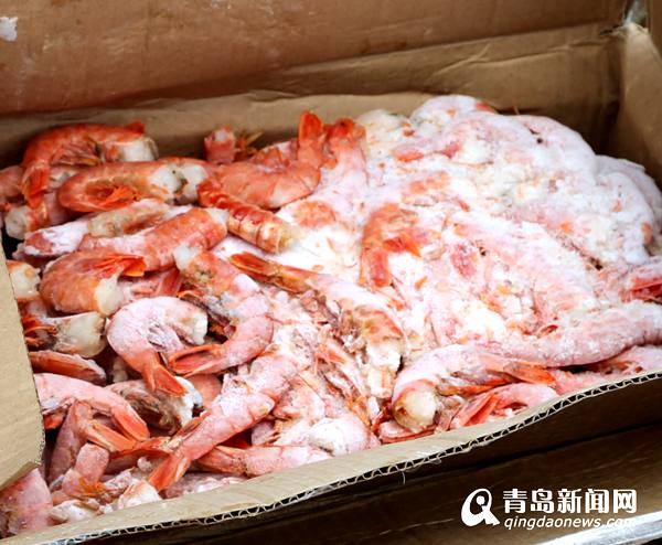 山东口岸查获24吨阿根廷红虾 变质严重被销毁