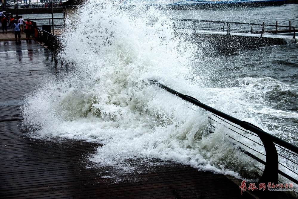 组图:青岛前海沿现巨浪滔天 七大浴场全关闭