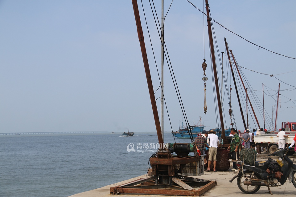 高清:探访红岛渔港码头 地道红岛蛤蜊从这上岸