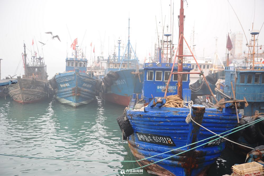 高清:开海在即 盘点近郊最适合扫货的渔码头