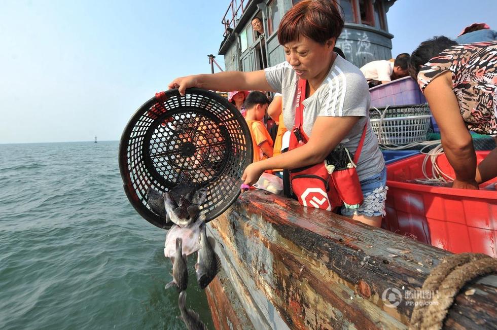 高清:青岛市民购2万只海鲜放生积德 你怎么看?