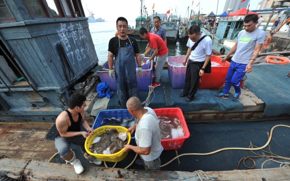 高清:青岛市民购2万只海鲜放生积德 你怎么看?