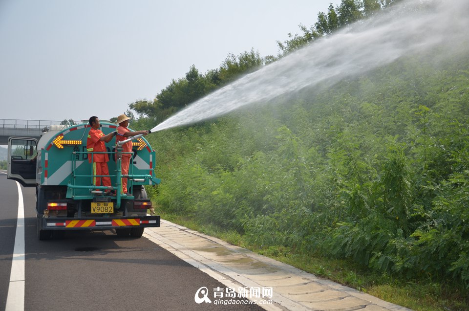 高清:龙青高速开通一周年 日均车流量超2万