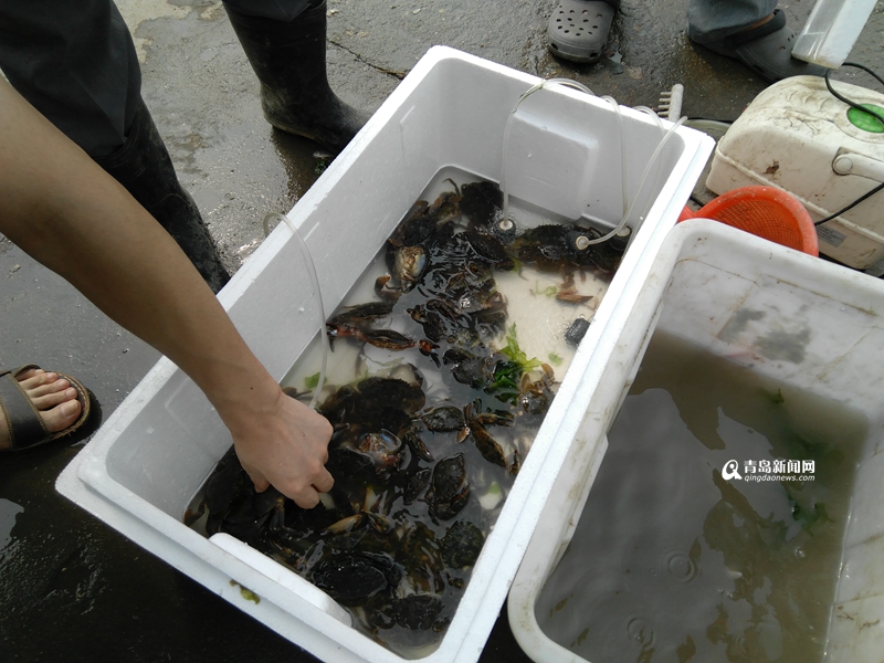 高清:中秋佳节海鲜市场火爆 海捕蟹供不应求
