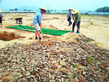 黄岛土山屯发掘大量古墓 出土器物述汉代故事