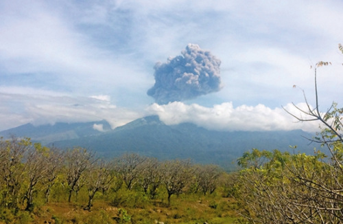 印尼火山爆发超250人失踪 雷暴致南澳全州停电