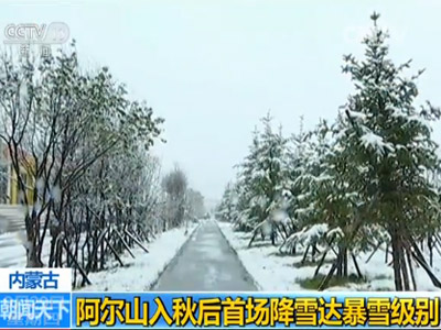 内蒙古东北部的阿尔山市迎来了今年入秋以来的首场降雪