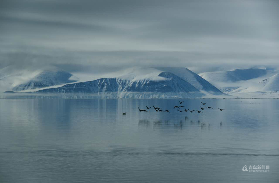 【百姓摄影节】镜头记录南北极 感受壮阔之美
