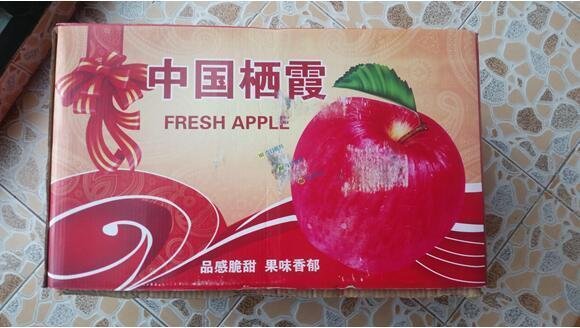 武汉市民买25斤苹果 纸箱夹缝灌了7斤水泥