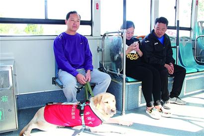 青岛温馨巴士设立导盲犬专区 